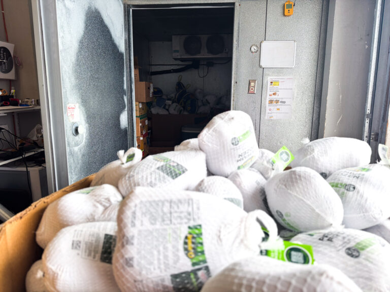 Freezer of Turkeys