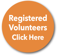 Button linking to information for registered food bank volunteers